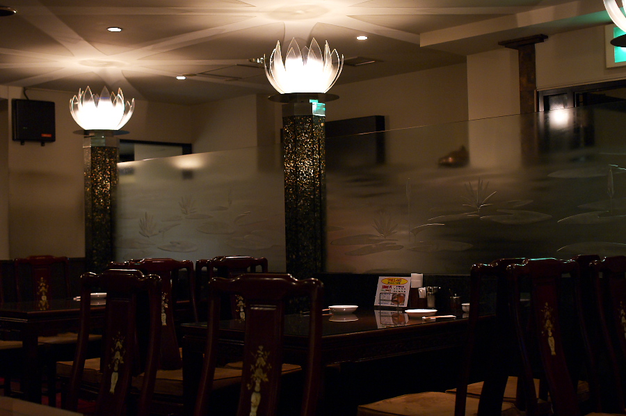 IMGP0006.jpg(257772 byte)