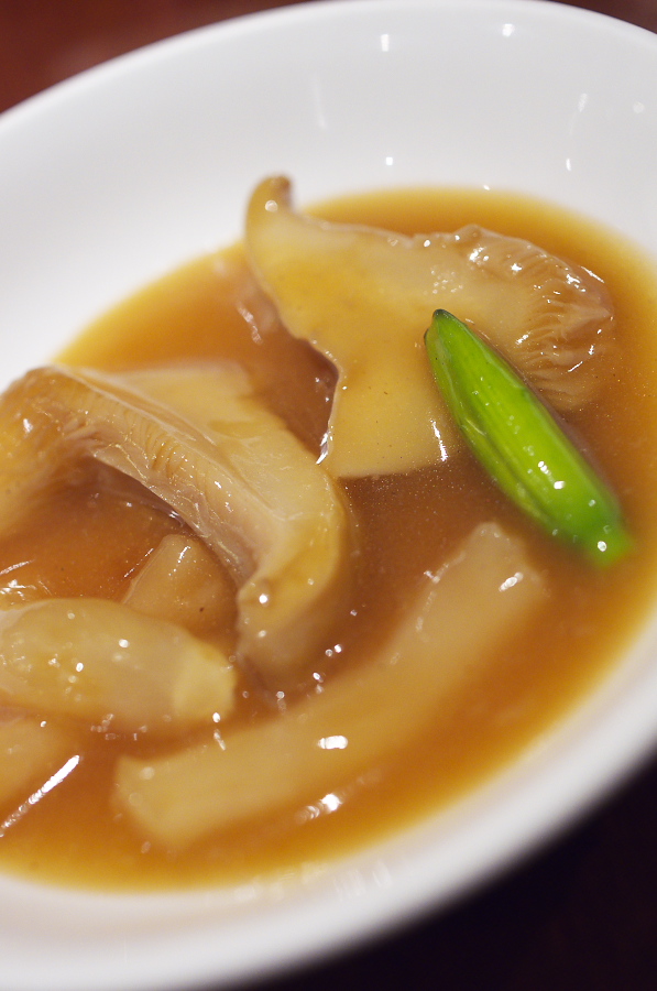 IMGP8848.jpg(231777 byte)