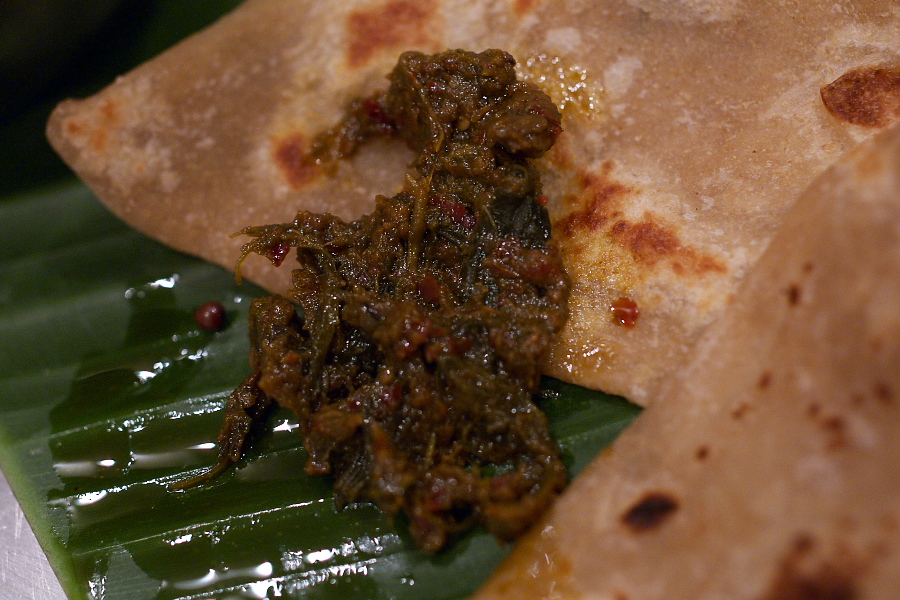 IMGP0021.jpg(384041 byte)