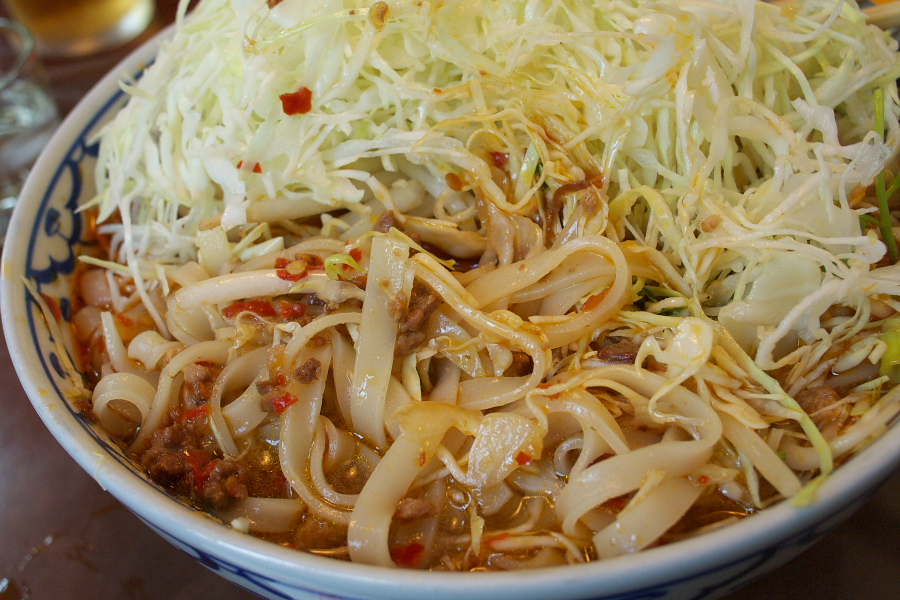 IMGP0010.jpg(378543 byte)