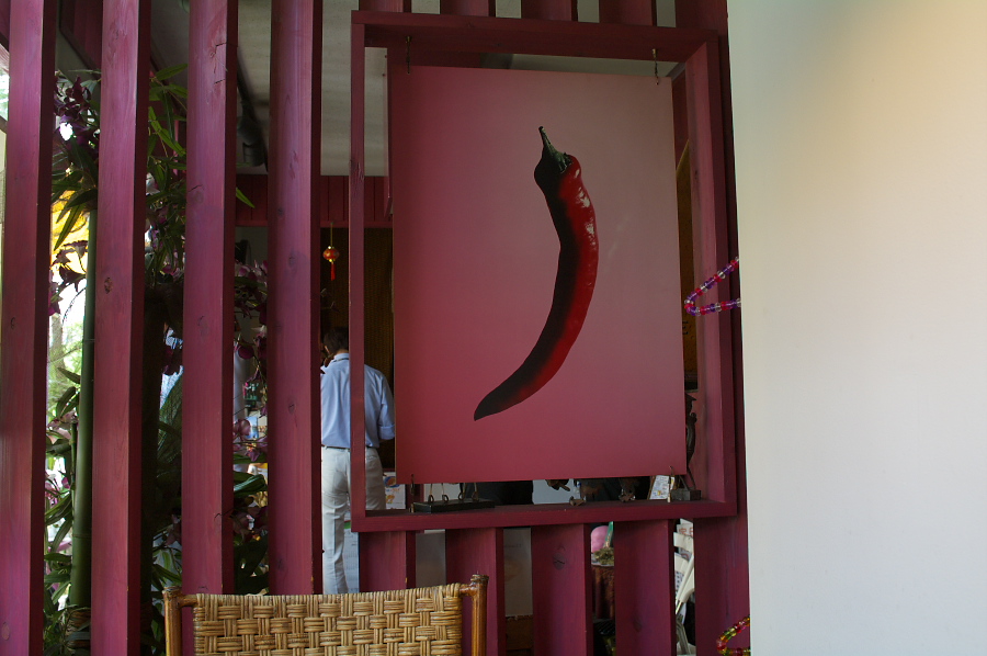 IMGP0014.jpg(253634 byte)