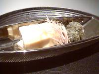 �S�N�ʎq�Ɠ���