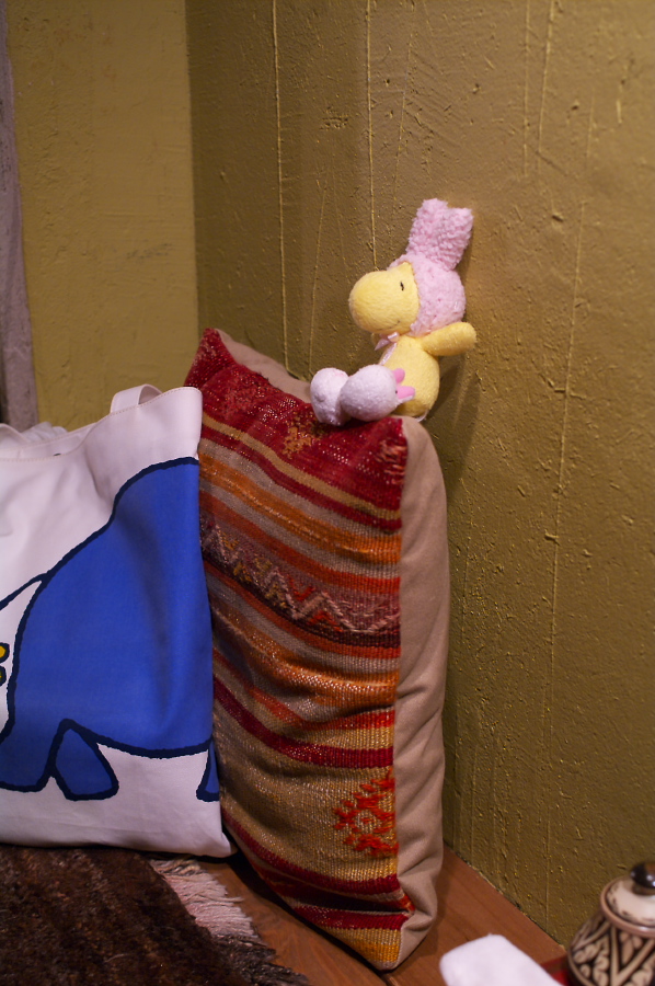 IMGP0024.jpg(310155 byte)