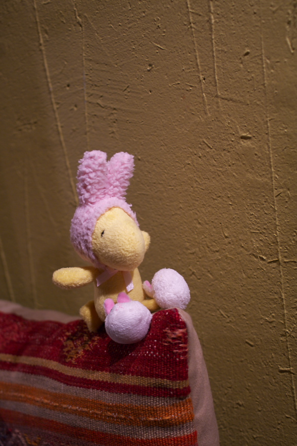 IMGP0096.jpg(275176 byte)