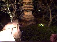 ������̕��i