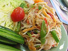 �p�p�C���T���_