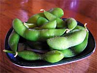 ���Ώ��@�͂�