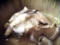 �X���Ȃ܂�