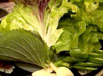 �T���`��