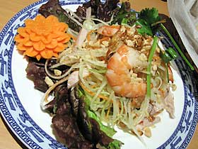 �p�p�C���T���_