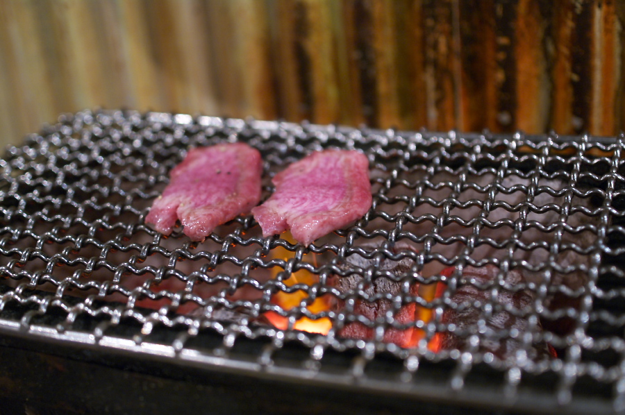 IMGP0006.jpg(322373 byte)