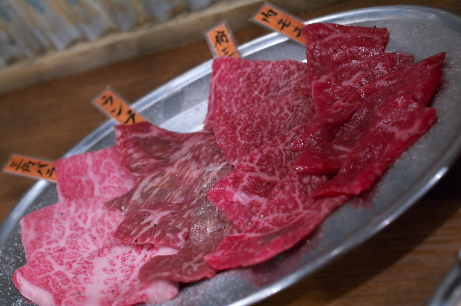 IMGP0019.jpg(288738 byte)