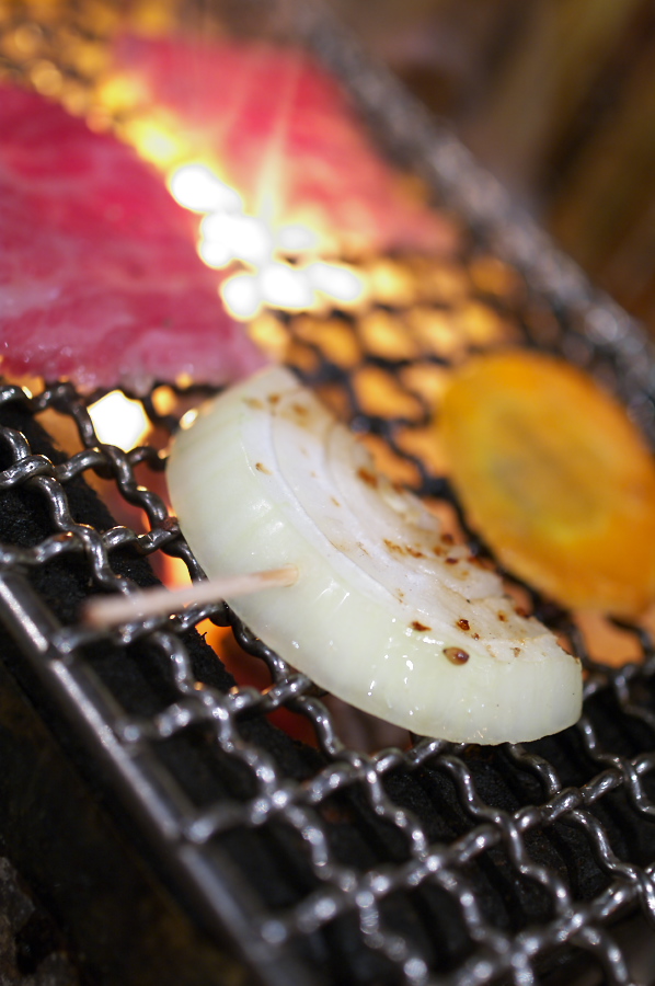 IMGP0040.jpg(222599 byte)