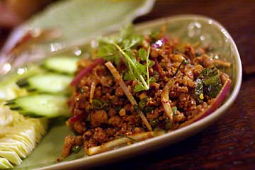 �ғ��̃X�p�C�V�[�T���_