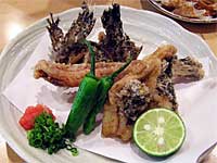 �������̓��g��