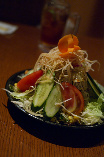 IMGP0006.jpg(172619 byte)