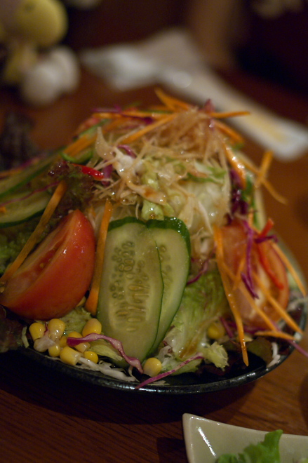 IMGP0015.jpg(165932 byte)