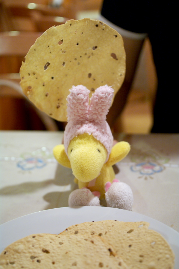 IMGP0008.jpg(213803 byte)