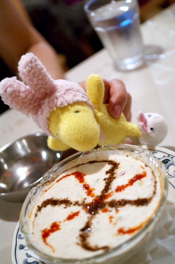 IMGP0014.jpg(270006 byte)