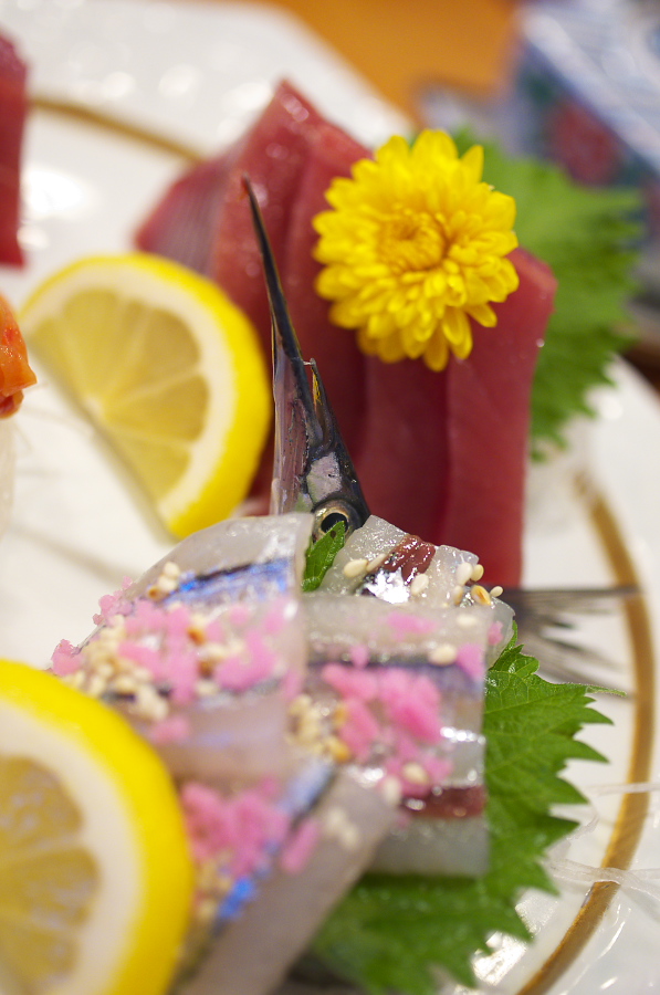 IMGP0491.jpg(249180 byte)