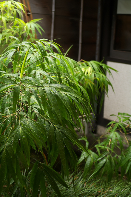 IMGP0002.jpg(232083 byte)