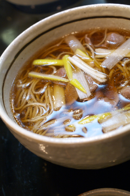 IMGP0012.jpg(171988 byte)