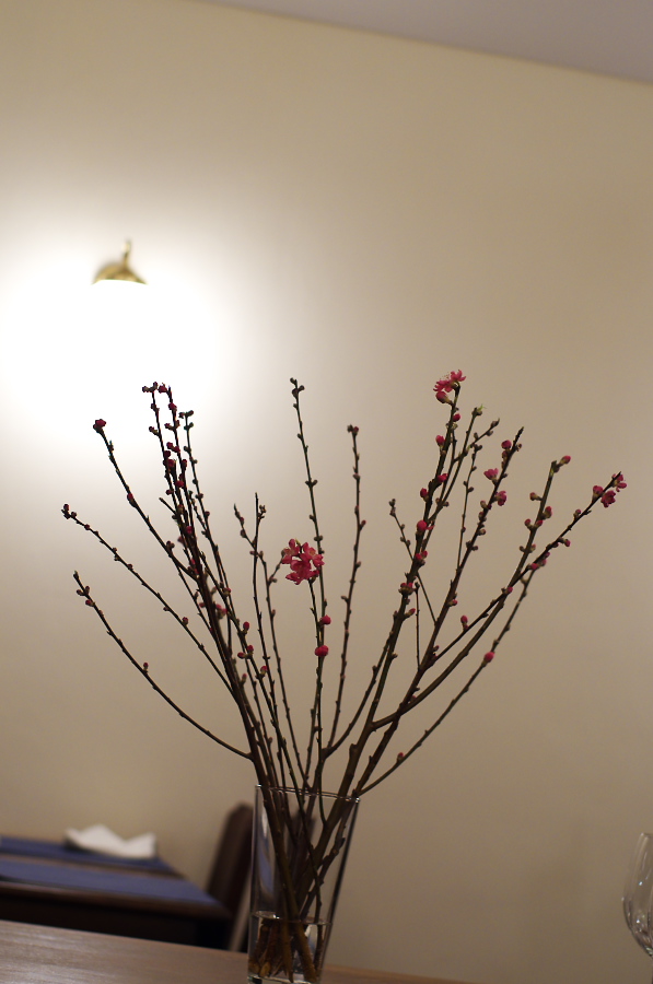 IMGP8621.jpg(197394 byte)