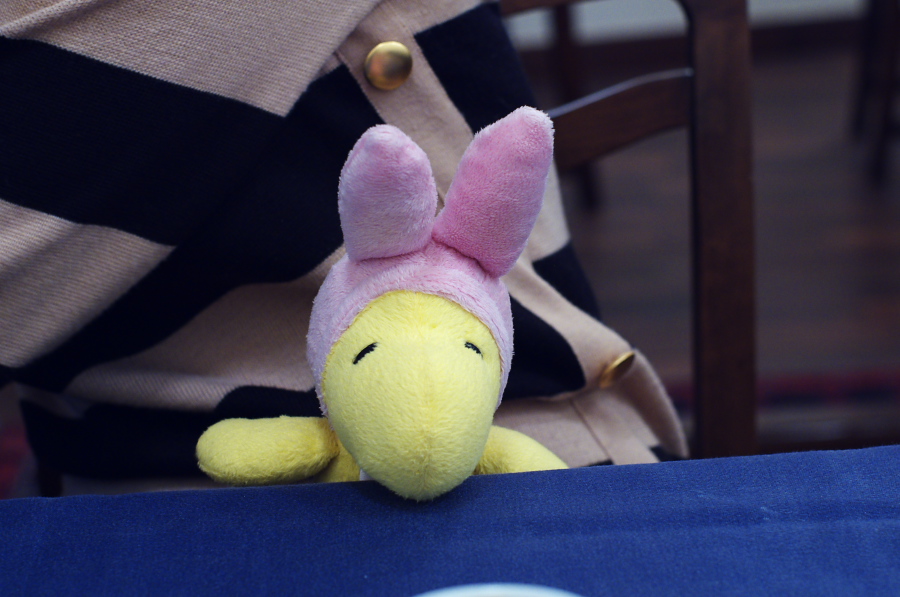 IMGP2049.jpg(244937 byte)