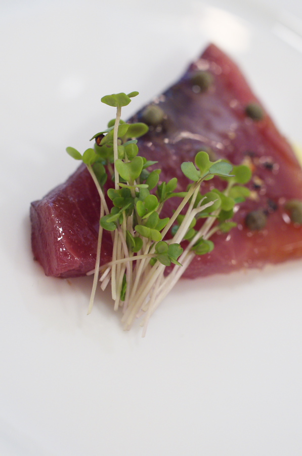 IMGP6029.jpg(169031 byte)