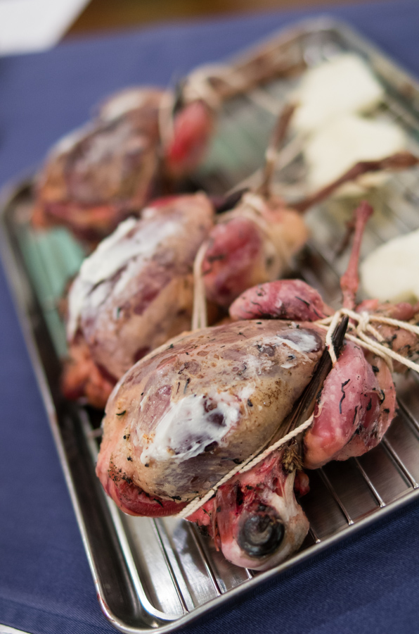 IMGP0278.jpg(283921 byte)