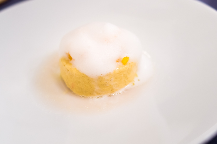 IMGP2233.jpg(144912 byte)