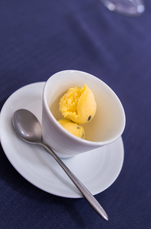 IMGP2323.jpg(249532 byte)