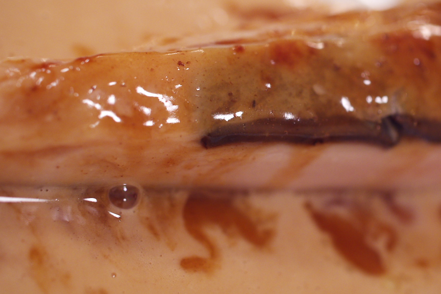 IMGP4750.jpg(223422 byte)