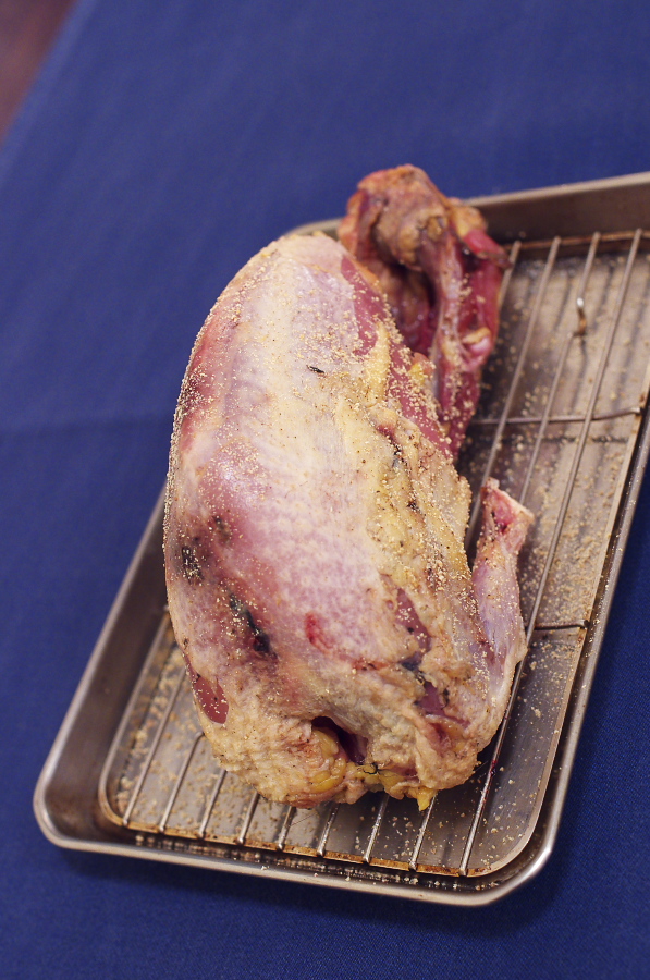 IMGP1436.jpg(341066 byte)