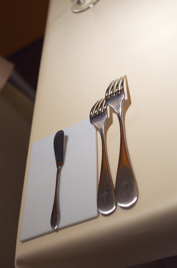 IMGP9273.jpg(177696 byte)