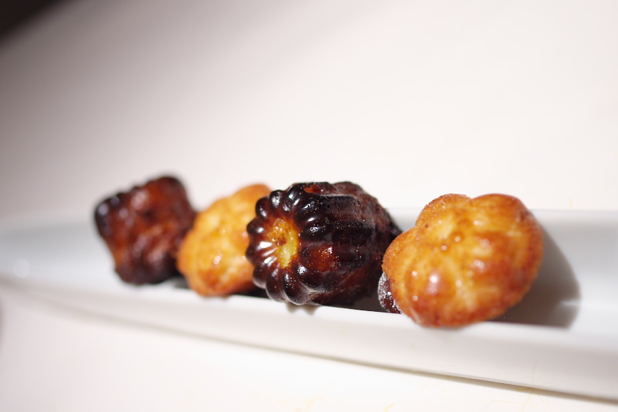 IMGP4074.jpg(137026 byte)