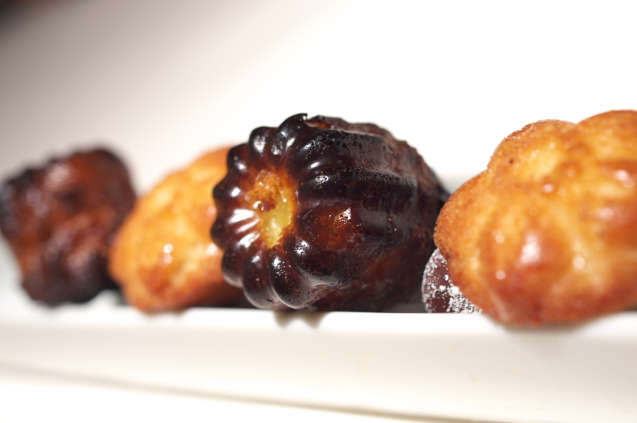 IMGP4078.jpg(166824 byte)