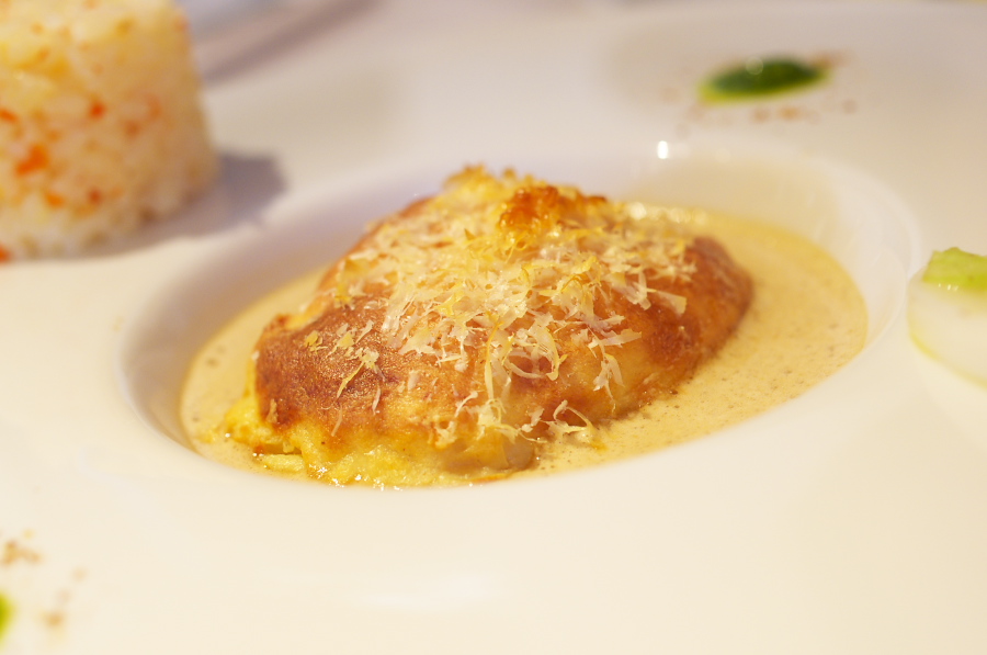 IMGP5238.jpg(173550 byte)