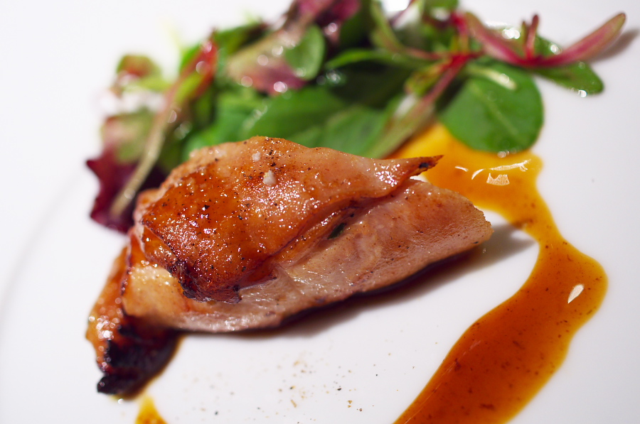 IMGP8804.jpg(242970 byte)