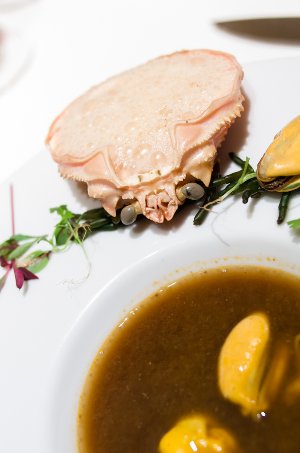 IMGP0637.jpg(231452 byte)