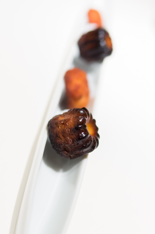 IMGP0741.jpg(120839 byte)