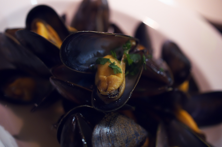 IMGP3721.jpg(158726 byte)