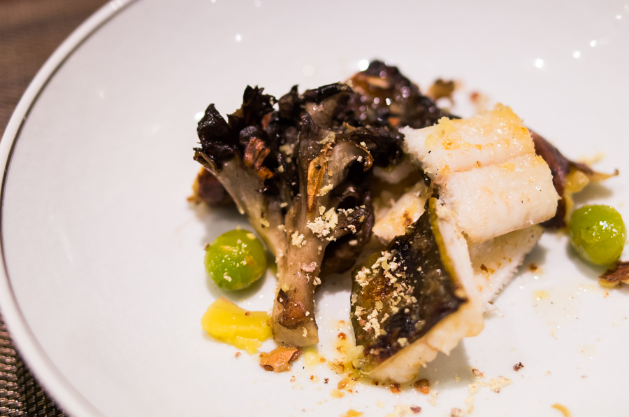 IMGP5472.jpg(356345 byte)