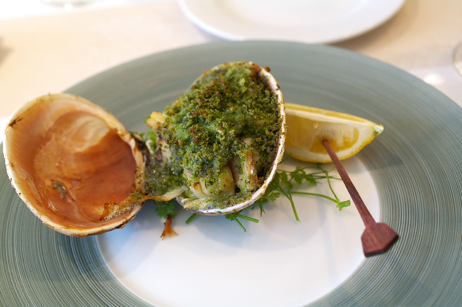 IMGP0177.jpg(273063 byte)