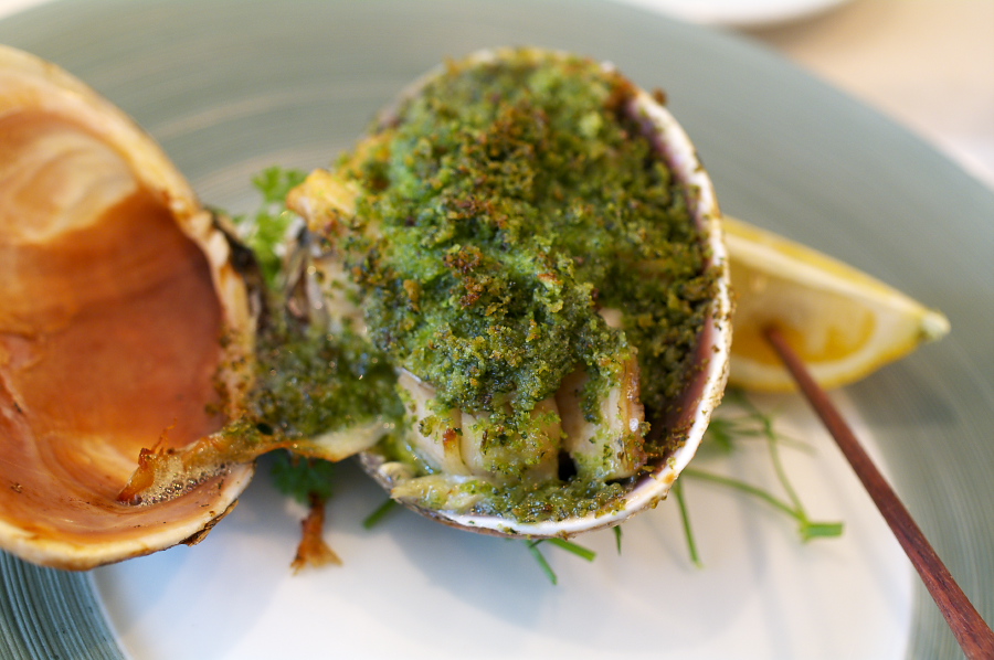 IMGP0179.jpg(266699 byte)