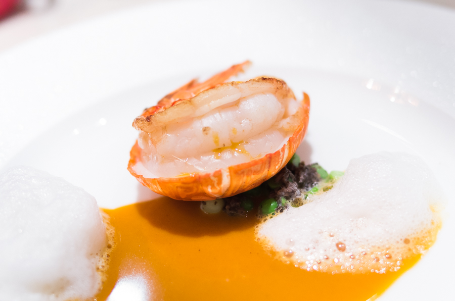 IMGP2509.jpg(287003 byte)