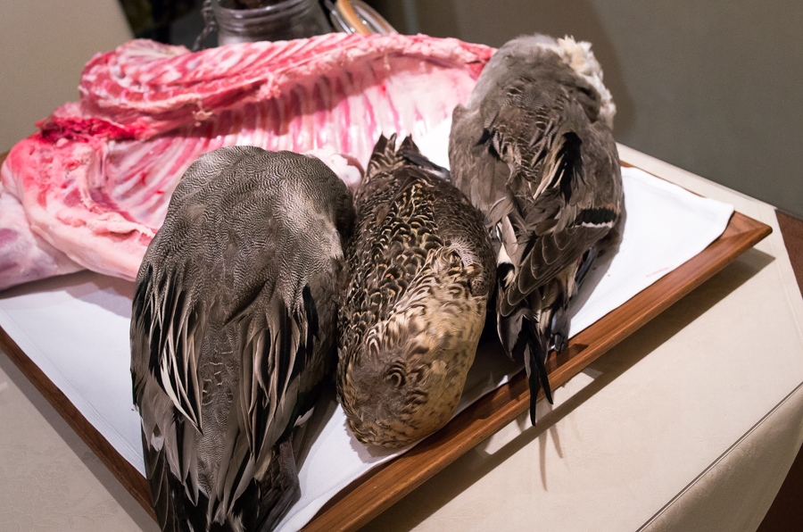 IMGP2514.jpg(506584 byte)