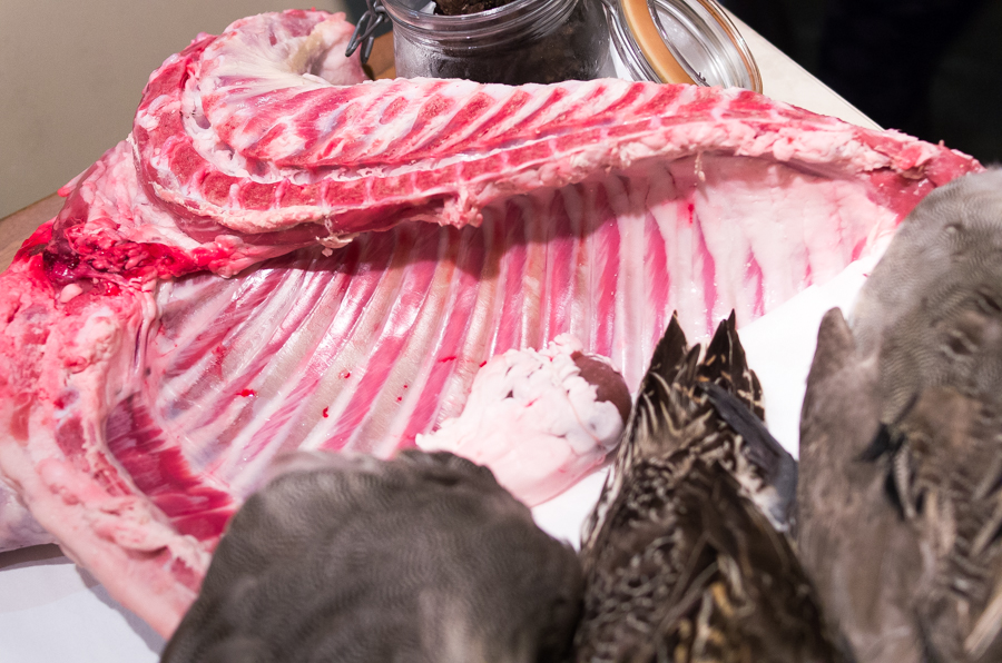 IMGP2519.jpg(496414 byte)