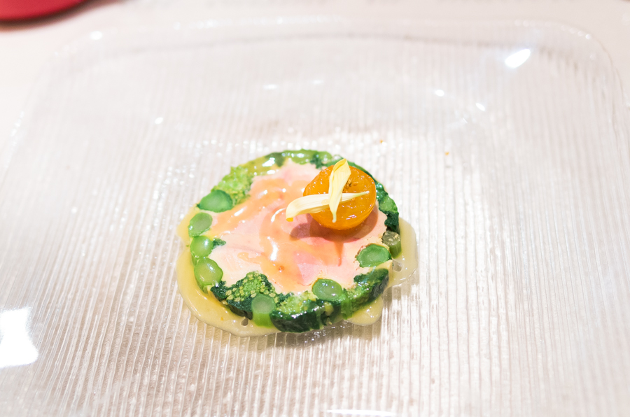 IMGP2564.jpg(345625 byte)