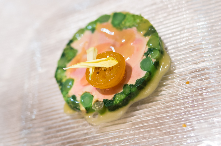 IMGP2573.jpg(394346 byte)